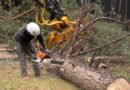 cope saw