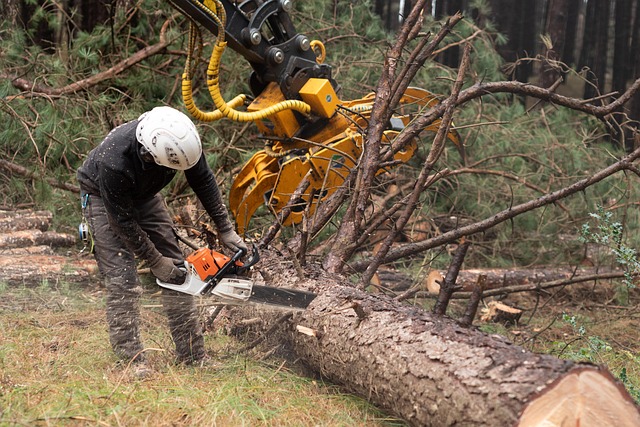 cope saw