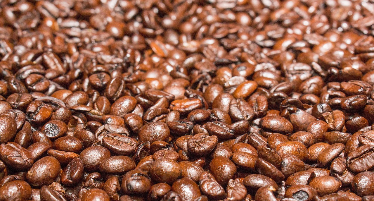seed, coffee, food, drink, batch