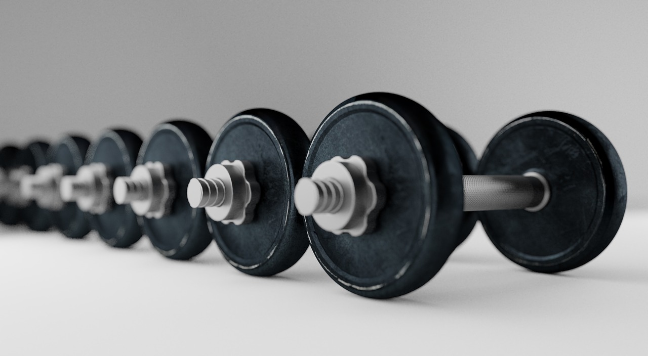 dumbell, barbell, bodybuilding, equipment, fitness, exercise, sport, gym, weight, workout, fit, healthy, lifting, training, heavy, strength, dumbbell, body, strong, weightlifting, muscle, gray fitness, gray gym, gray exercise, gray training, gray healthy, gray workout, gray sports, gray body, dumbell, gym, gym, gym, gym, gym