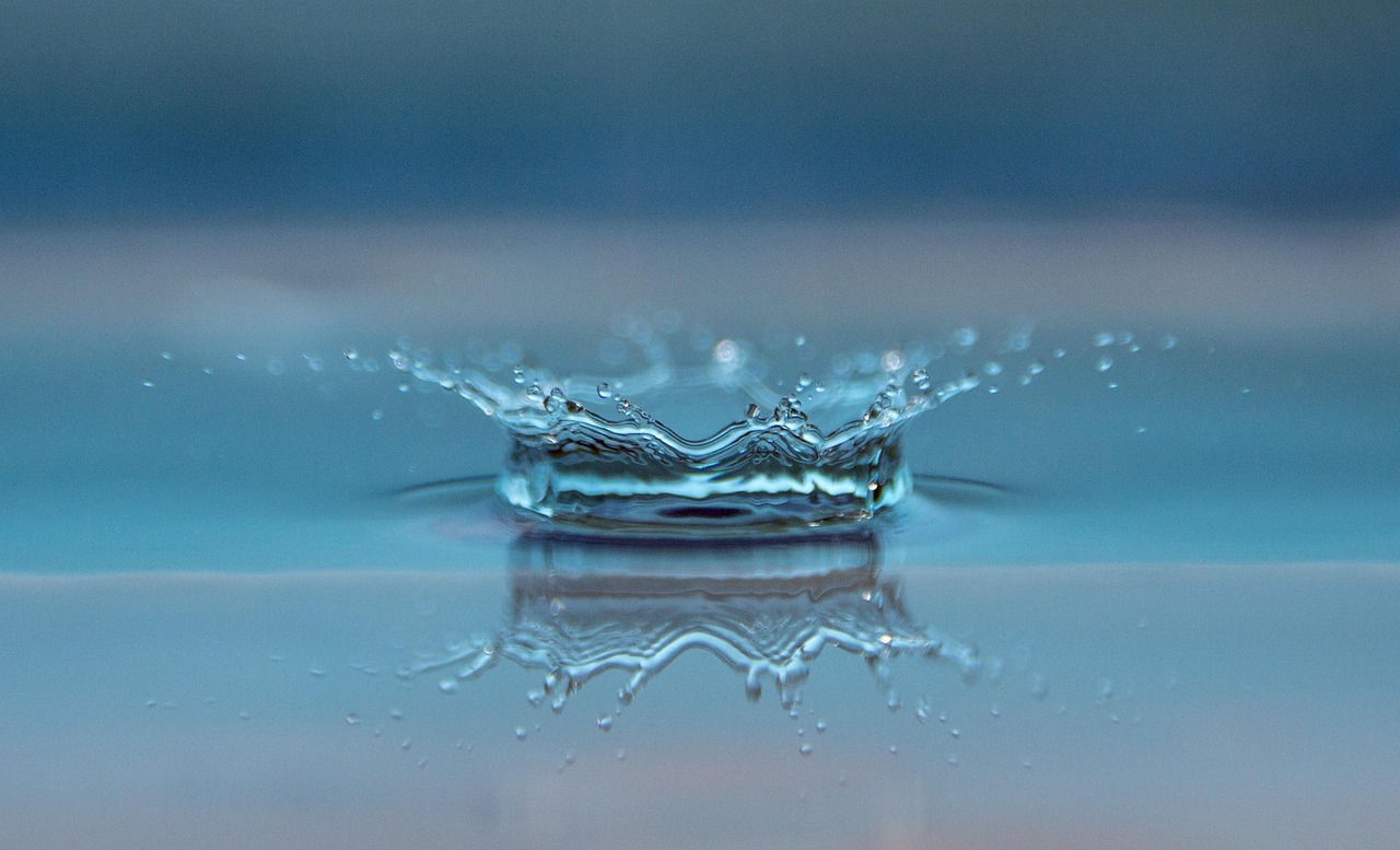 drop, splash, nature, impact, ripples, water, ripple effect, waves, macro, drip, liquid, surface tension, surface, water surface, close up, reflection, mirror image, mirroring