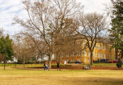 nc state, north carolina state, nc state campus, university, education, academic, carolina, students, landmark, nc, campus, state, schools, quarantine, school closure, college, social distancing, spring semester, nc state, nc state, nc state, university, campus, campus, campus, campus, campus, school closure, spring semester