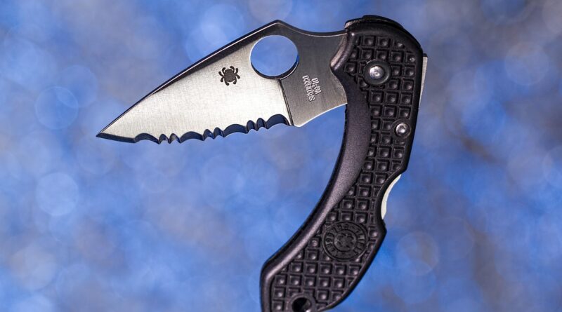 penknife, pocket knife, blade, serrated, folding, locking, cutting, sharp, cut, weapon, pocketknife, camping, slice, dangerous, spyderco, blue camping, penknife, penknife, penknife, pocket knife, pocket knife, pocket knife, pocket knife, pocket knife, blade, pocketknife, pocketknife, camping, camping, camping, spyderco, spyderco