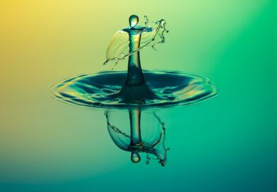 drop, splash, impact, ripples, water, ripple effect, waves, macro, drip, liquid, surface tension, surface, water surface, droplet, drop of water, water reflection, clear water, mirroring, mirror image, nature, reflection