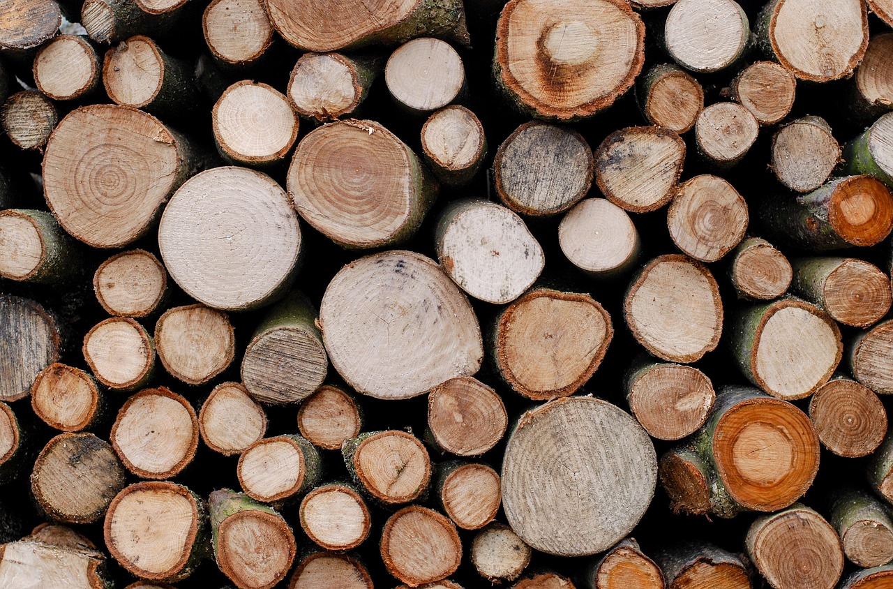 trees, lumber, timber, wood, wooden, material, nature, pine, pattern, log, backdrop, structure, oak, hardwood, trunk, forest, brown, natural, circle, branch, outdoor, environment, brown pattern, brown circle, lumber, lumber, timber, timber, timber, timber, timber, log