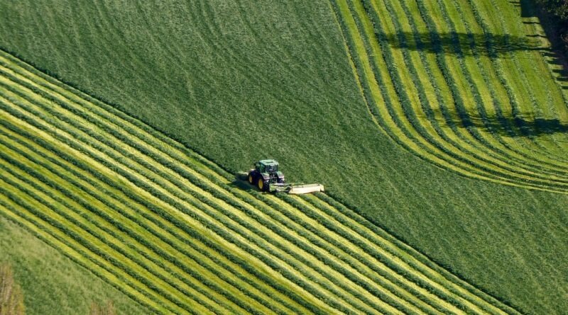 nature, field, tractor, agriculture, summer, crop, machine, farm machinery, stripe, green, farming, grain field, rural landscape, mowing, harvest, distant