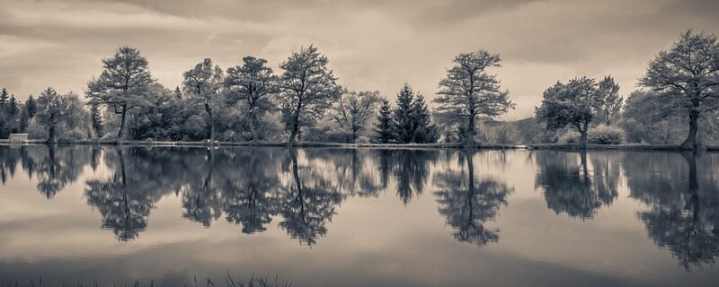 panorama, landscape, reflection, lake, nature, water, lakeside, waterfront, water surface, mood, trees, water mirror, panorama, panorama, panorama, panorama, panorama, landscape, landscape, reflection, reflection, reflection, lake, lake, lake, nature, water, water, trees