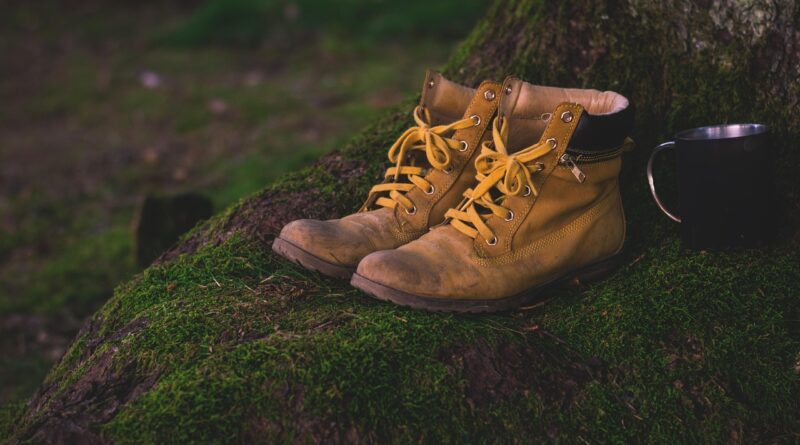 boots, nature, shoes, moss, hiking shoes, worn, used, hiking, old, outdoor, leather