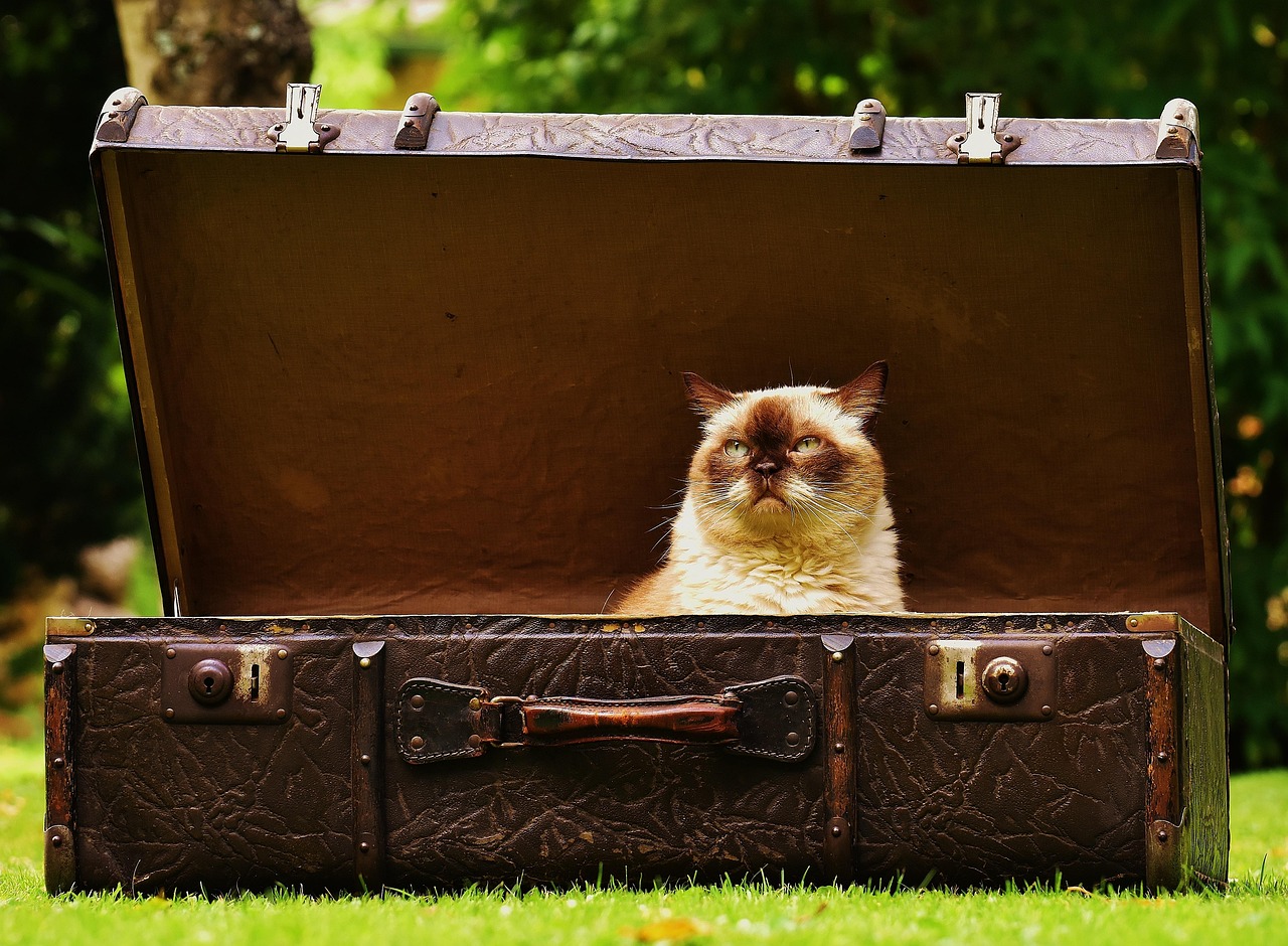 How to specify Cat generators for industrial standby and prime power