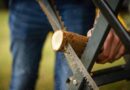 saw, nature, tree trunk, wood, tree, sawed off, woodwork, branch, stump, sawdust, desire, sawhorse, detail, hand