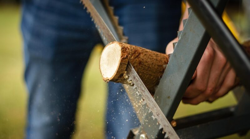 saw, nature, tree trunk, wood, tree, sawed off, woodwork, branch, stump, sawdust, desire, sawhorse, detail, hand