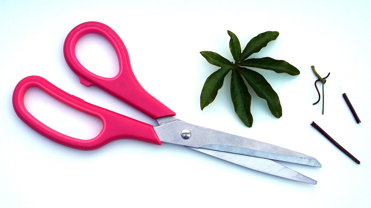 How to choose a trim cutting tool for clean, repeatable edges