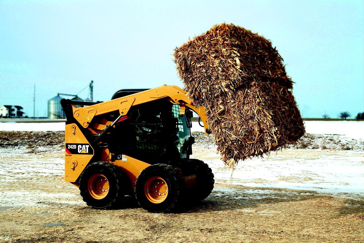 wheel loader, loader, compact loader, cat, 242d, heap, loading, caterpillar, construction machinery, construction work, work machine, pet, shovel, earthmoving, technology, heavy, building, straw, animal, farmer, cattle, agriculture