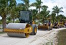 parade, construction equipment, roller, animal, loader, backhoe, countryside, pet, country road, cat