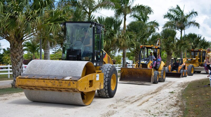 parade, construction equipment, roller, animal, loader, backhoe, countryside, pet, country road, cat