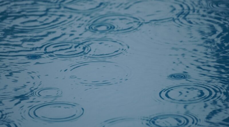 rain, beautiful wallpaper, free wallpaper, 4k wallpaper 1920x1080, mac wallpaper, hd wallpaper, puddle, ripples, water, windows wallpaper, water surface, wallpaper 4k, circles, raindrop, drops, full hd wallpaper, laptop wallpaper, surface tension, background, free background, cool backgrounds, wallpaper hd, desktop backgrounds, 4k wallpaper, nature