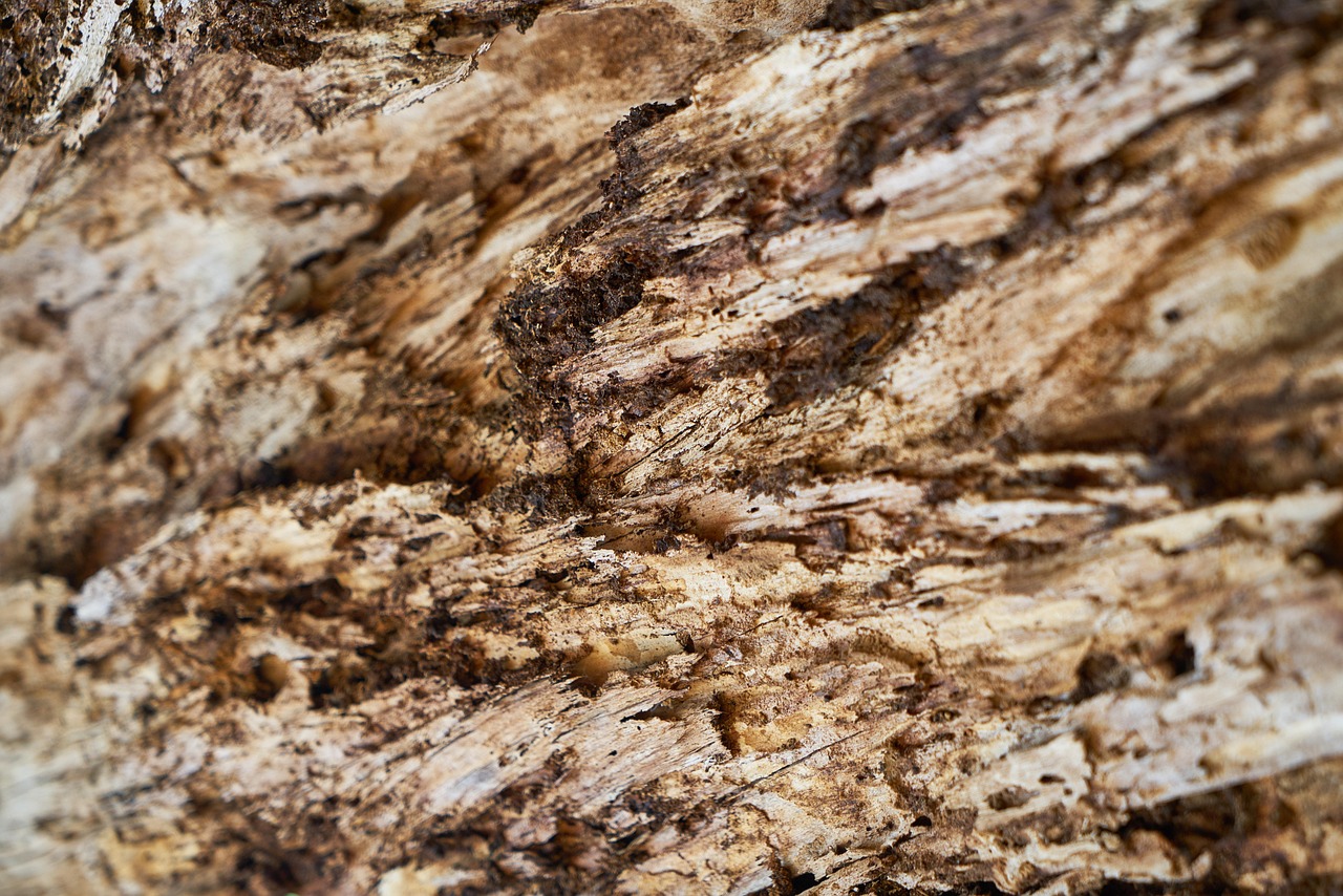 wooden, full hd wallpaper, timber, wallpaper hd, nature, tissue, tree, pattern, old, carpentry, natural, material, oak, windows wallpaper, beautiful wallpaper, laptop wallpaper, desktop backgrounds, ground, free wallpaper, decor, surface, rough, free background, 4k wallpaper, wood, table, abstract, textured, decoration, mac wallpaper, cool backgrounds, wallpaper 4k, wall, parquet, panel, furniture, hd wallpaper, 4k wallpaper 1920x1080, background, decorative