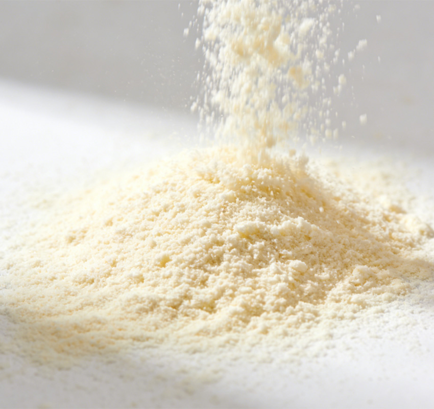 Dehydrated Milk Powder Factory Purchasing Guide