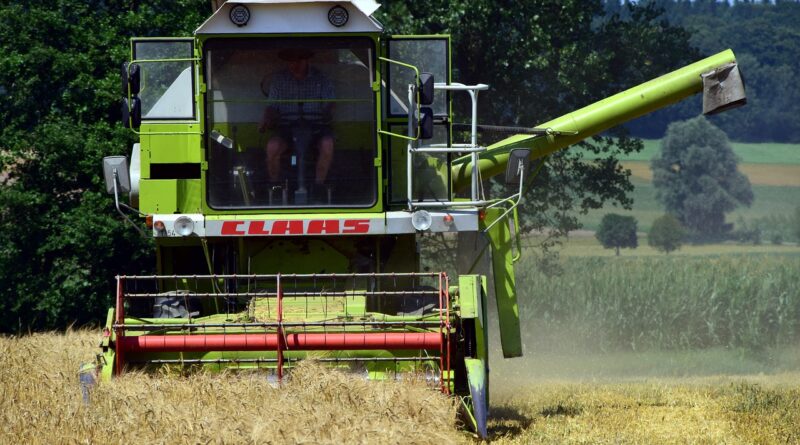 harvest, grain harvest, agriculture, grain field, field, summer, grain, wheat field, fields, cornfield, nature, combine harvester, harvester, corn stalks, spike, wheat, machine, vehicle, harvest time, agricultural machine, mow, harvest to obtain, cutting machine