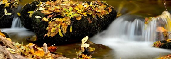 autumn, water, nature, leaves, forest, stones, mach, stream