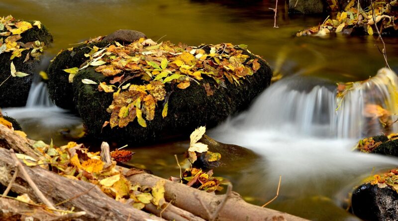 autumn, water, nature, leaves, forest, stones, mach, stream