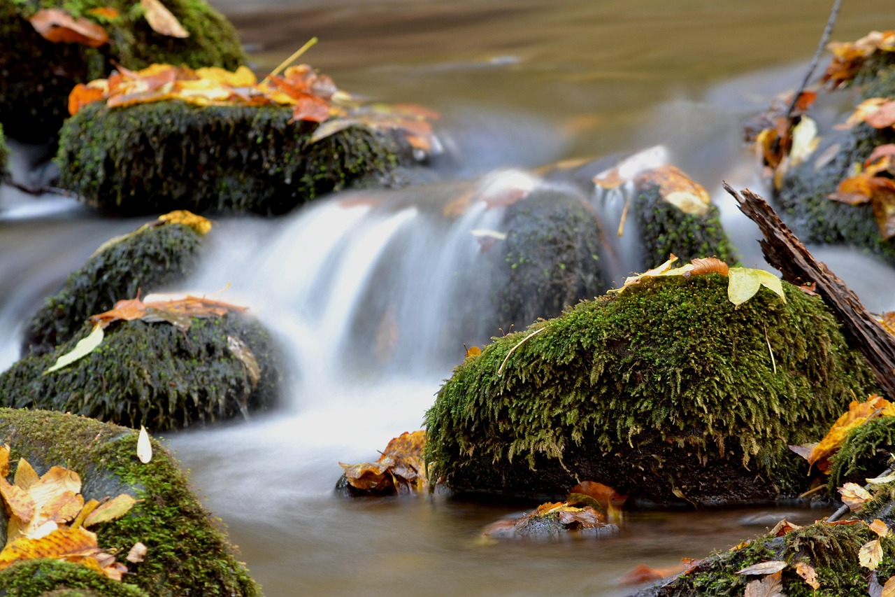 autumn, water, nature, leaves, forest, stones, mach, stream