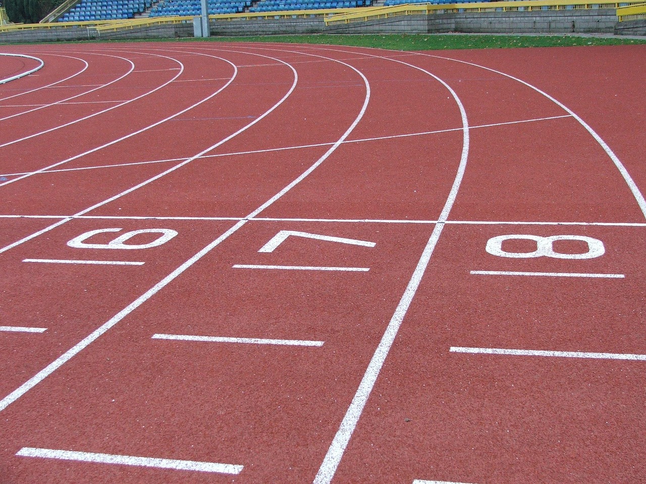 track, race, athletics, sport, fitness, asphalt, running, sport, running, running, running, running, running