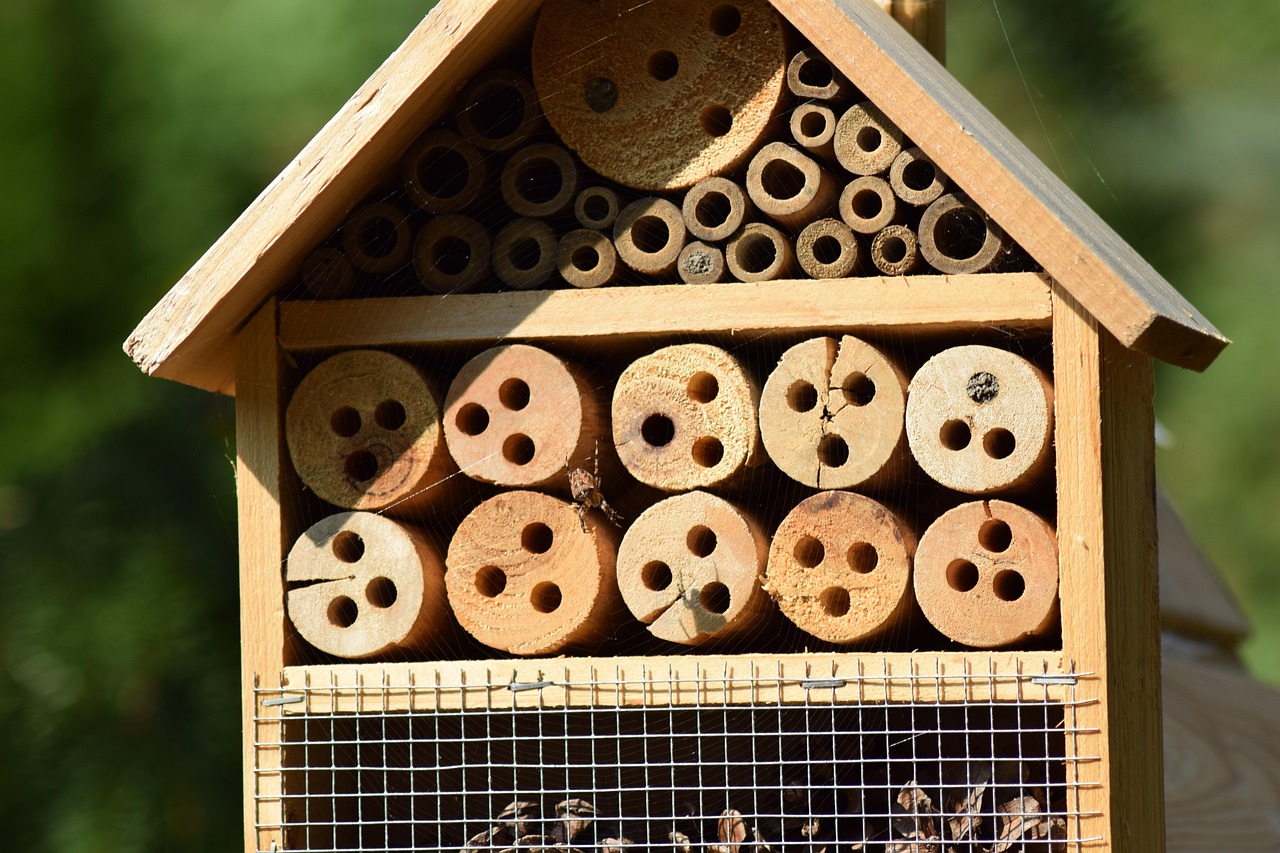 garden, insect house, nature, hotbed, insect repellent