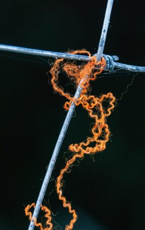 thread, fence, wool, orange thread, thread, thread, thread, thread, thread