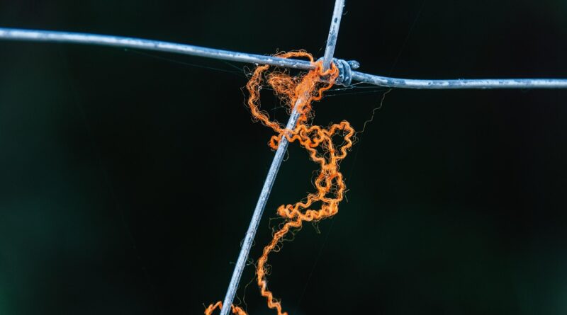 thread, fence, wool, orange thread, thread, thread, thread, thread, thread