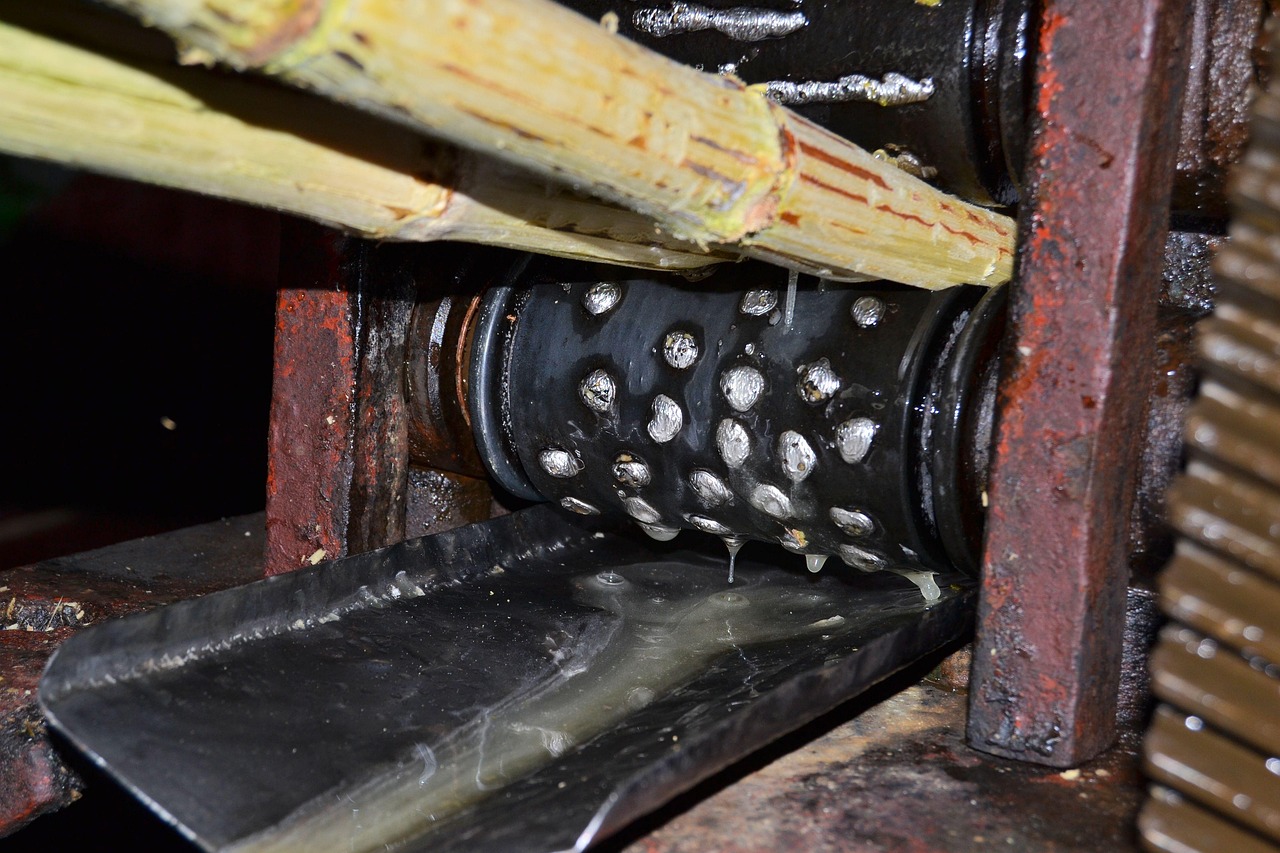 cuba, vinales, sugar cane press, sugar, juice, viñales valley, technology, power, sugar cane juice, cuba, cuba, cuba, cuba, cuba, vinales, vinales